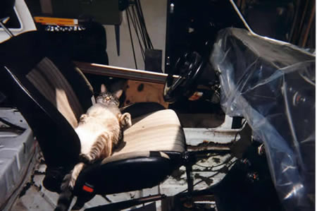 Restaurée ou pas, il y en a un à qui cela ne pose pas de problèmes !